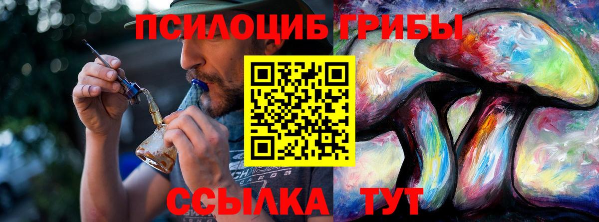 Канаш  Галлюциногенные грибы Cubensis  наркота  Галлюциногенные грибы мицелий  Вход с VPN 
