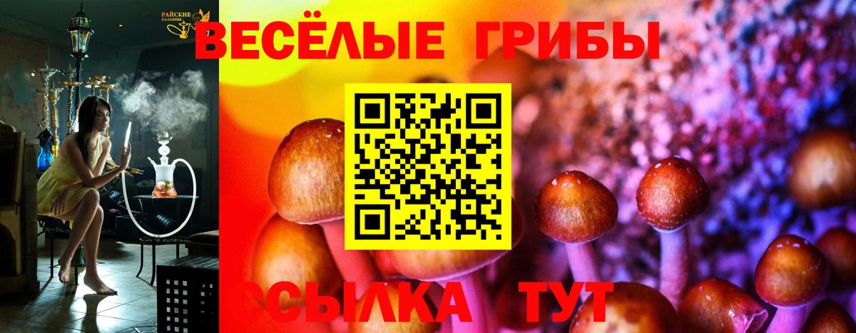Псилоцибиновые грибы GOLDEN TEACHER Канаш