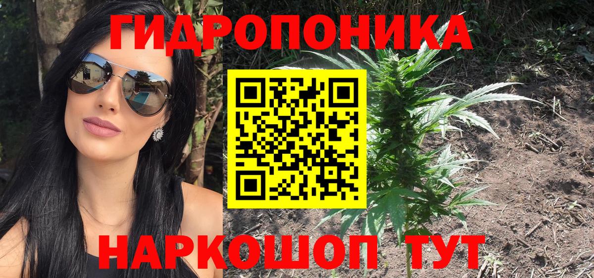 Бошки марихуана индика  Бошки Шишки VHQ  Канаш  Вход с VPN  Бошки Шишки Amnesia  Конопля конопля 